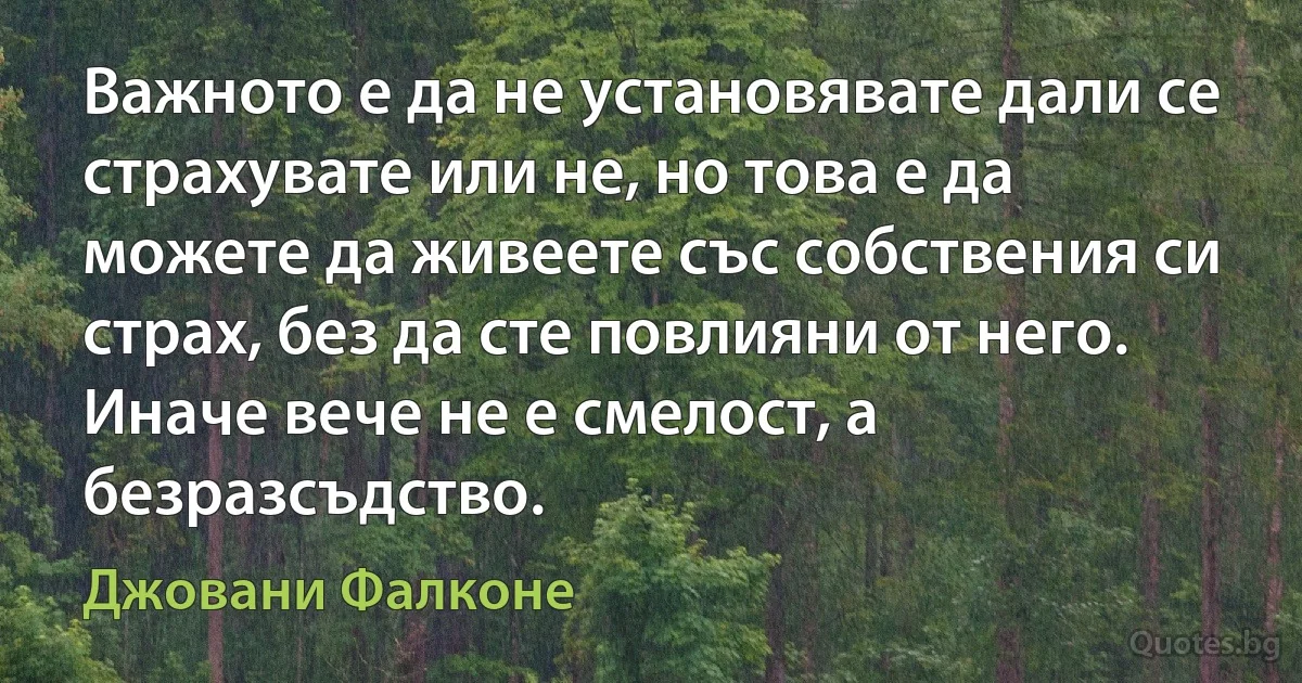 Важното е да не установявате дали се страхувате или не, но това е да можете да живеете със собствения си страх, без да сте повлияни от него. Иначе вече не е смелост, а безразсъдство. (Джовани Фалконе)