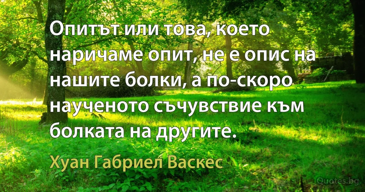 Опитът или това, което наричаме опит, не е опис на нашите болки, а по-скоро наученото съчувствие към болката на другите. (Хуан Габриел Васкес)