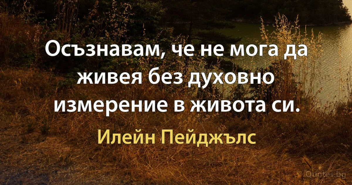 Осъзнавам, че не мога да живея без духовно измерение в живота си. (Илейн Пейджълс)