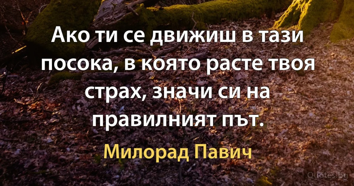 Ако ти се движиш в тази посока, в която расте твоя страх, значи си на правилният път. (Милорад Павич)