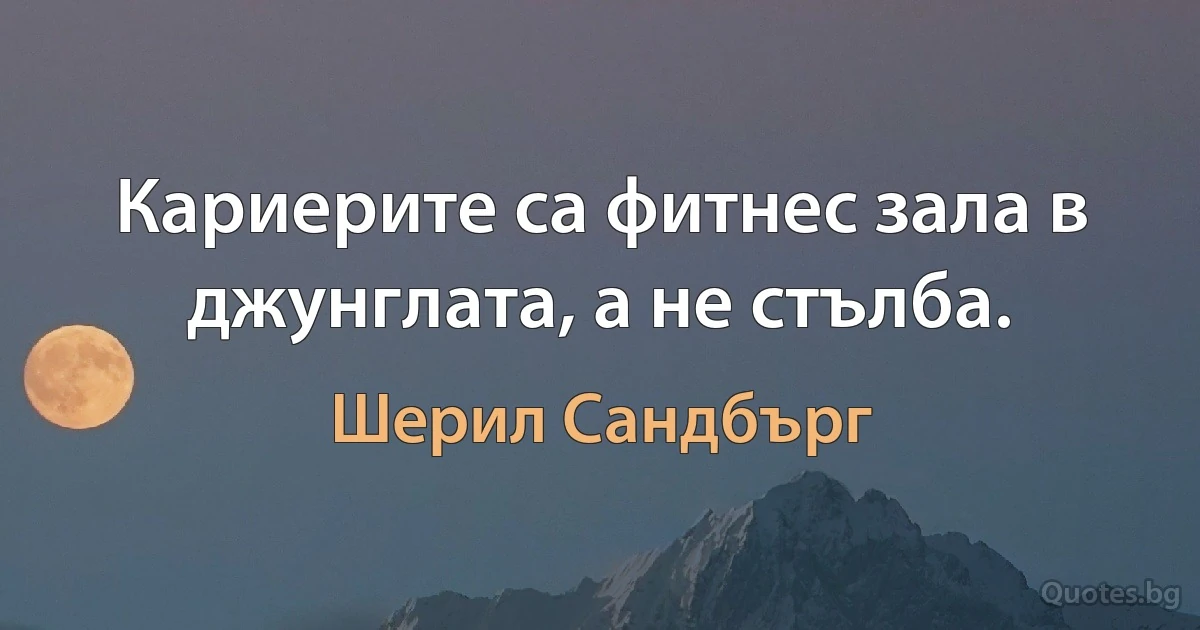 Кариерите са фитнес зала в джунглата, а не стълба. (Шерил Сандбърг)