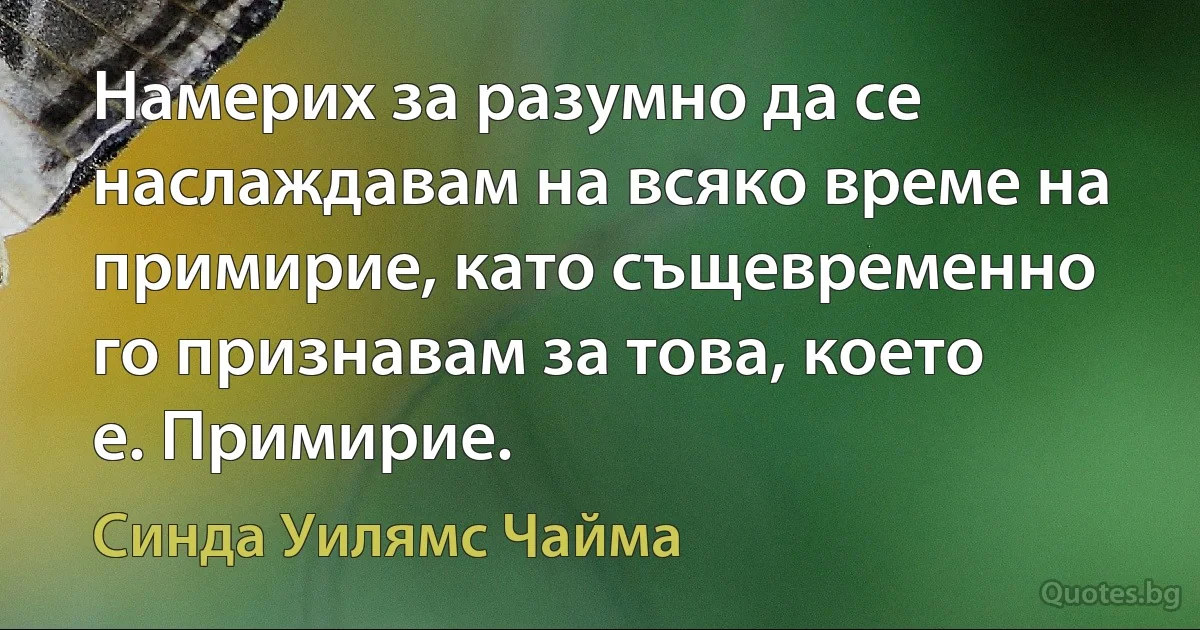 Намерих за разумно да се наслаждавам на всяко време на примирие, като същевременно го признавам за това, което е. Примирие. (Синда Уилямс Чайма)