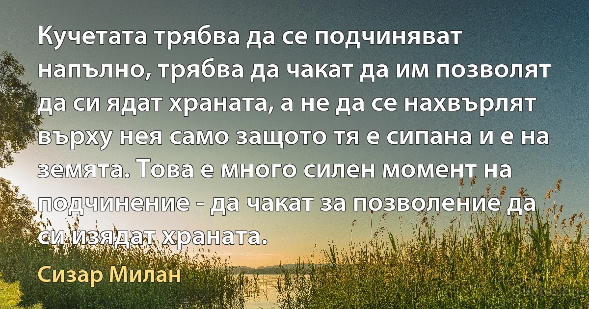 Кучетата трябва да се подчиняват напълно, трябва да чакат да им позволят да си ядат храната, а не да се нахвърлят върху нея само защото тя е сипана и е на земята. Това е много силен момент на подчинение - да чакат за позволение да си изядат храната. (Сизар Милан)