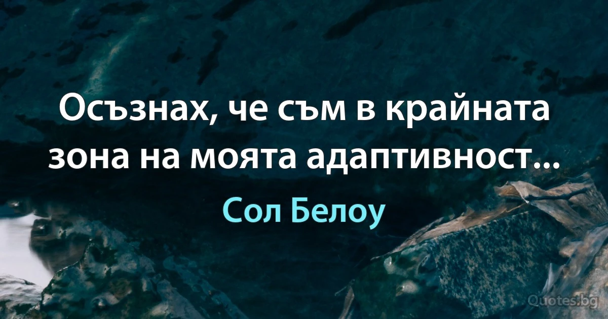 Осъзнах, че съм в крайната зона на моята адаптивност... (Сол Белоу)