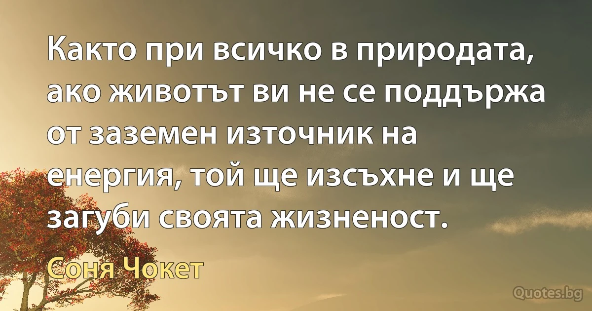 Както при всичко в природата, ако животът ви не се поддържа от заземен източник на енергия, той ще изсъхне и ще загуби своята жизненост. (Соня Чокет)