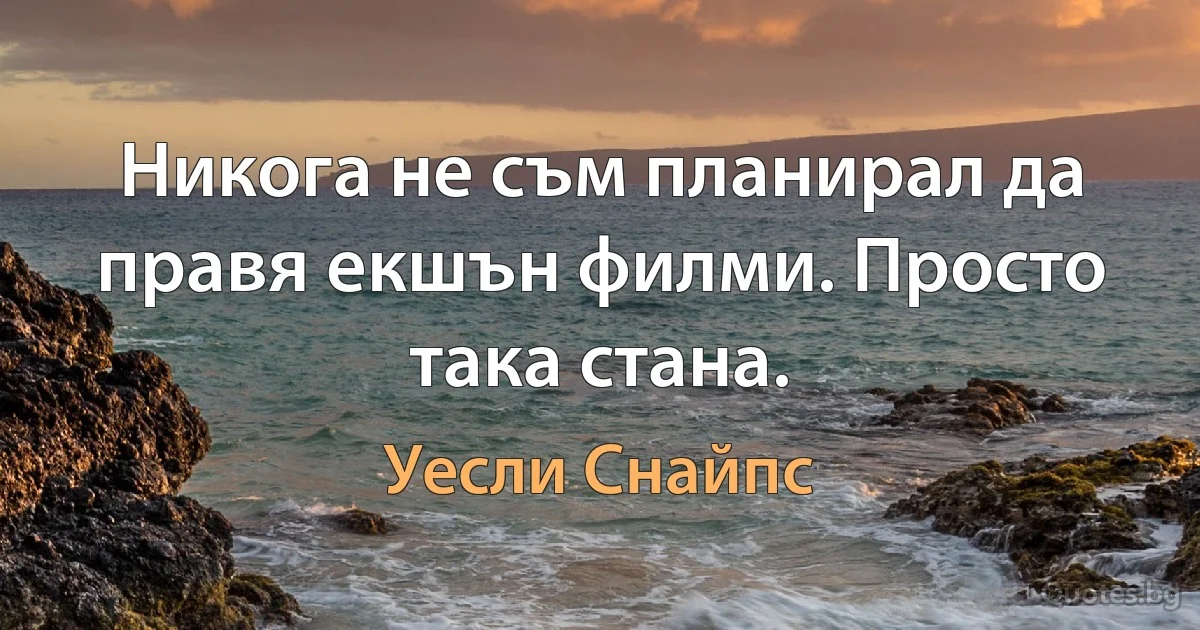 Никога не съм планирал да правя екшън филми. Просто така стана. (Уесли Снайпс)