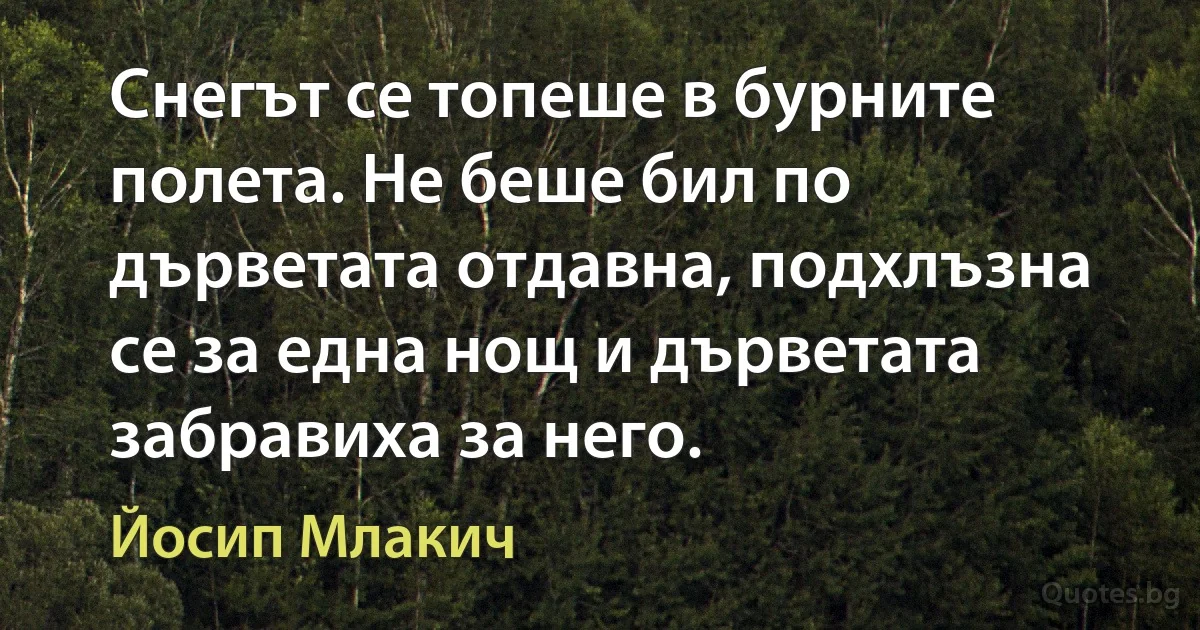 Снегът се топеше в бурните полета. Не беше бил по дърветата отдавна, подхлъзна се за една нощ и дърветата забравиха за него. (Йосип Млакич)