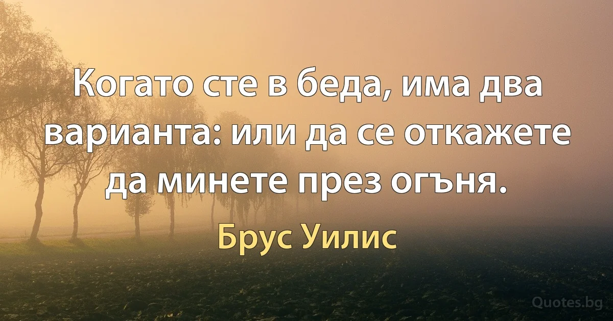 Когато сте в беда, има два варианта: или да се откажете да минете през огъня. (Брус Уилис)