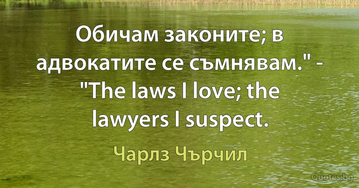 Обичам законите; в адвокатите се съмнявам." - "The laws I love; the lawyers I suspect. (Чарлз Чърчил)