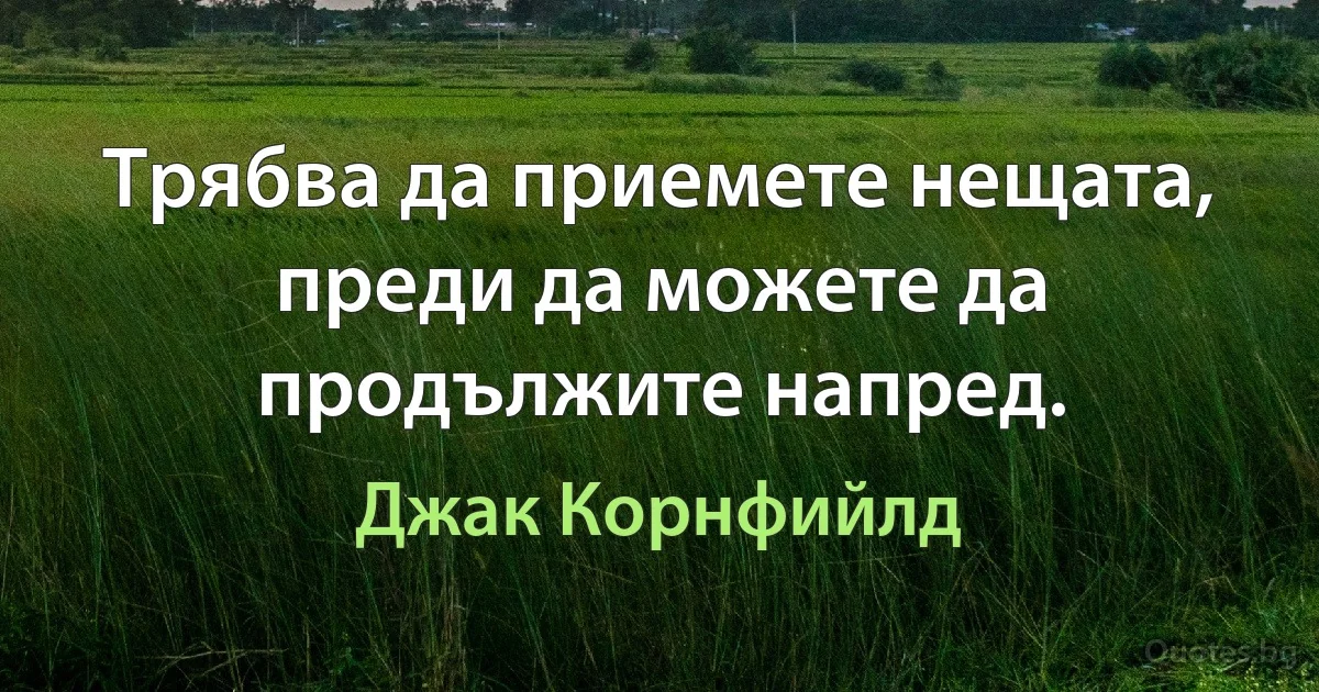 Трябва да приемете нещата, преди да можете да продължите напред. (Джак Корнфийлд)