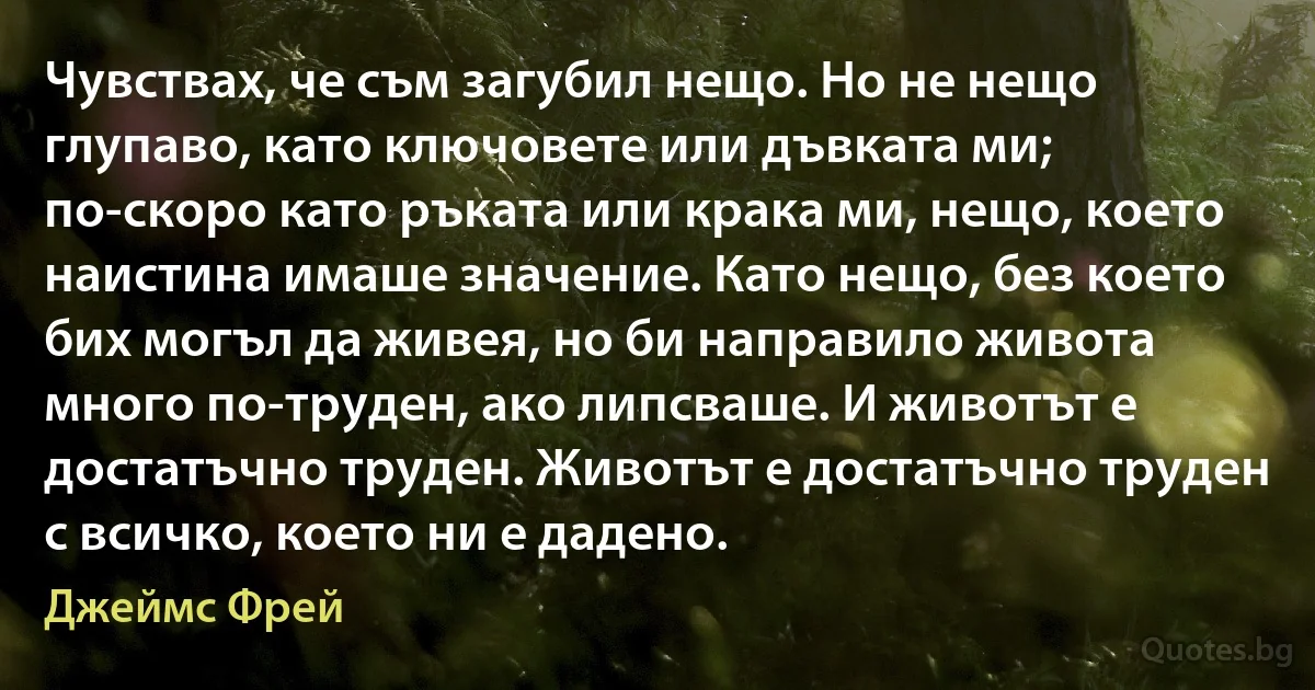 Чувствах, че съм загубил нещо. Но не нещо глупаво, като ключовете или дъвката ми; по-скоро като ръката или крака ми, нещо, което наистина имаше значение. Като нещо, без което бих могъл да живея, но би направило живота много по-труден, ако липсваше. И животът е достатъчно труден. Животът е достатъчно труден с всичко, което ни е дадено. (Джеймс Фрей)