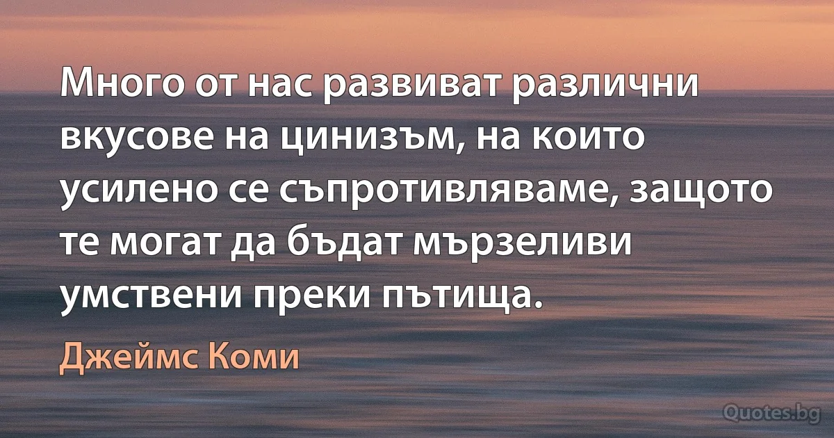 Много от нас развиват различни вкусове на цинизъм, на които усилено се съпротивляваме, защото те могат да бъдат мързеливи умствени преки пътища. (Джеймс Коми)