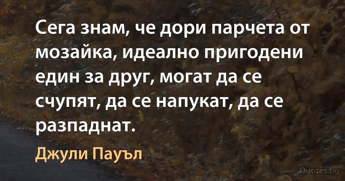 Сега знам, че дори парчета от мозайка, идеално пригодени един за друг, могат да се счупят, да се напукат, да се разпаднат. (Джули Пауъл)