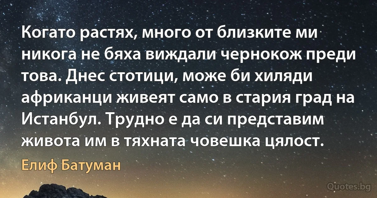 Когато растях, много от близките ми никога не бяха виждали чернокож преди това. Днес стотици, може би хиляди африканци живеят само в стария град на Истанбул. Трудно е да си представим живота им в тяхната човешка цялост. (Елиф Батуман)