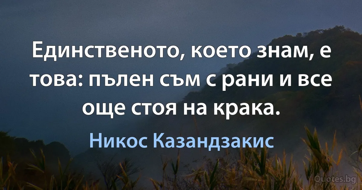 Единственото, което знам, е това: пълен съм с рани и все още стоя на крака. (Никос Казандзакис)