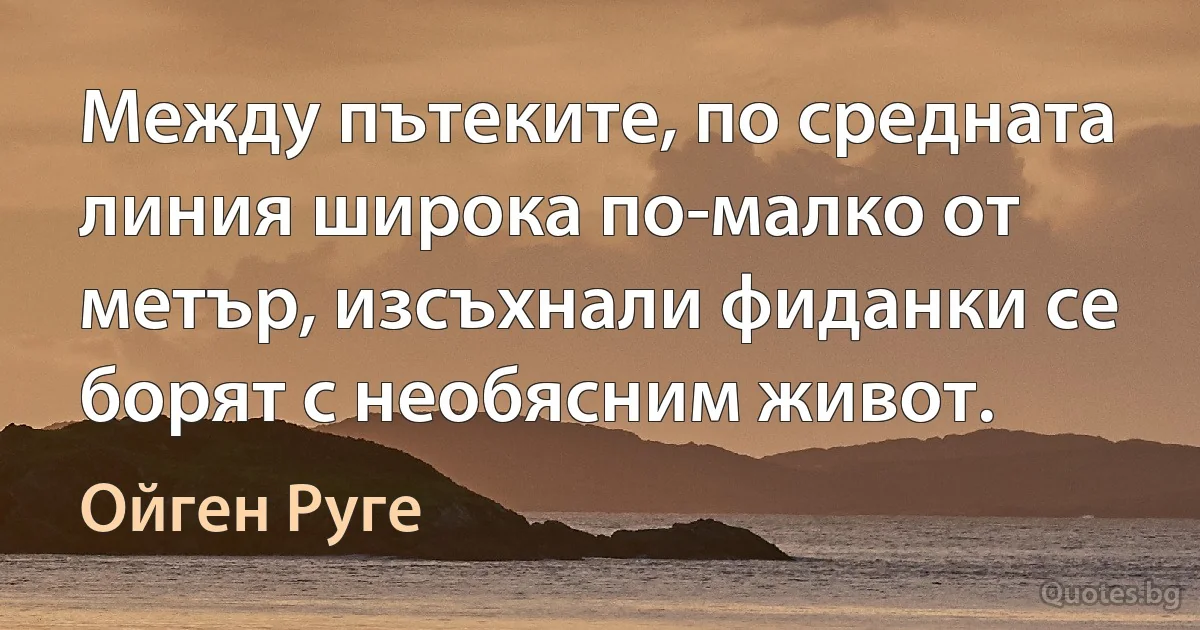 Между пътеките, по средната линия широка по-малко от метър, изсъхнали фиданки се борят с необясним живот. (Ойген Руге)