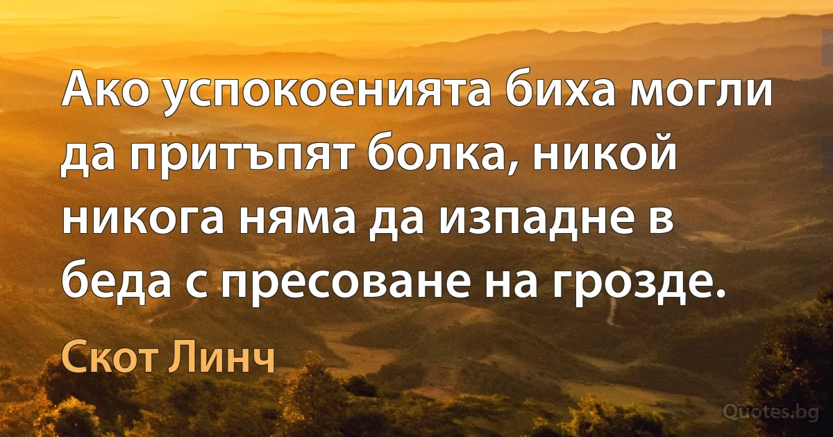 Ако успокоенията биха могли да притъпят болка, никой никога няма да изпадне в беда с пресоване на грозде. (Скот Линч)