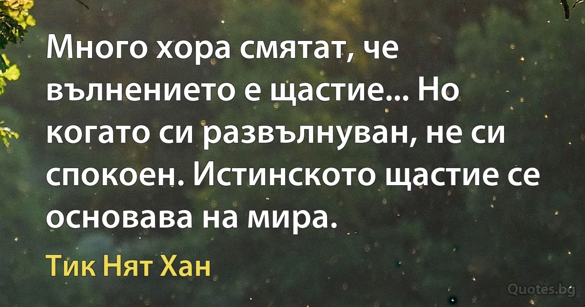 Много хора смятат, че вълнението е щастие... Но когато си развълнуван, не си спокоен. Истинското щастие се основава на мира. (Тик Нят Хан)