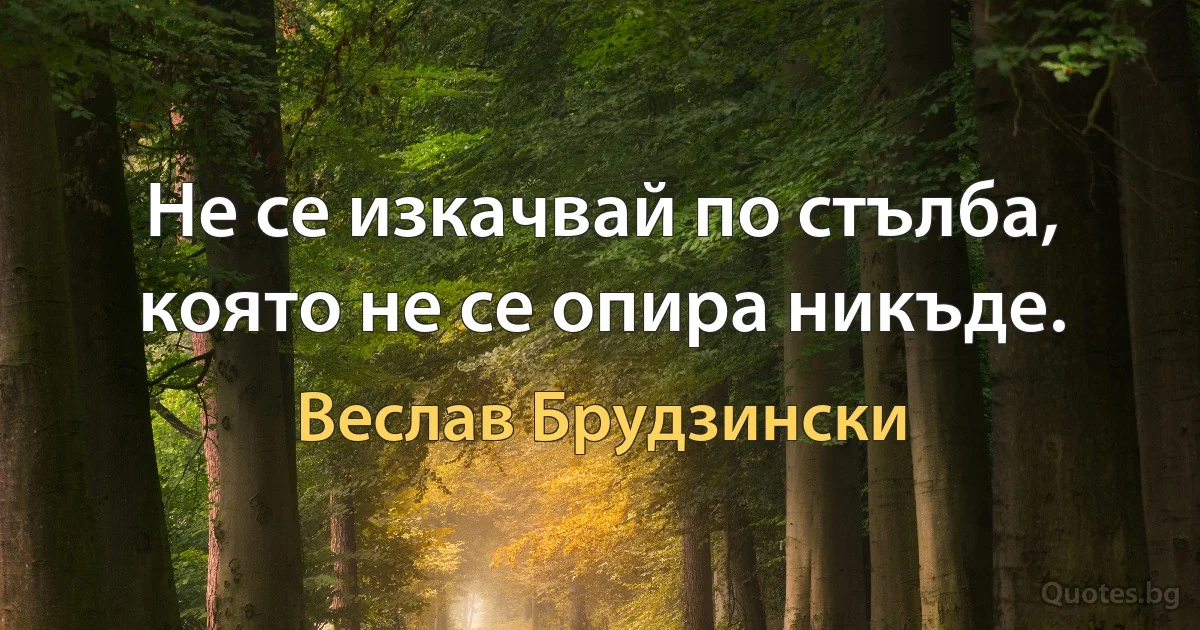 Не се изкачвай по стълба, която не се опира никъде. (Веслав Брудзински)